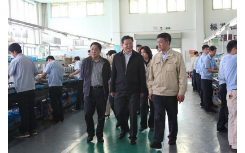 市国资委领导莅临标准股份视察